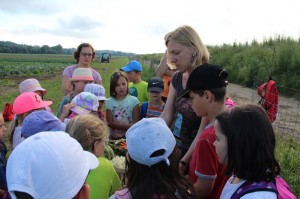 Gemüseernten 2016IMG_3524_16-06-2016