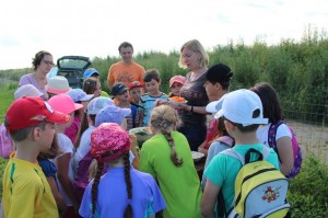 Gemüseernten 2016IMG_3525_16-06-2016