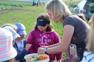 Gemüseernten 2016IMG_3526_16-06-2016