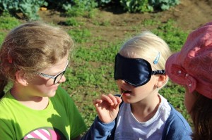 Gemüseernten 2016IMG_3528_16-06-2016