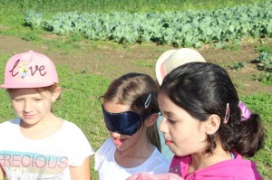 Gemüseernten 2016IMG_3530_16-06-2016