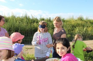 Gemüseernten 2016IMG_3532_16-06-2016
