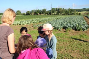 Gemüseernten 2016IMG_3533_16-06-2016