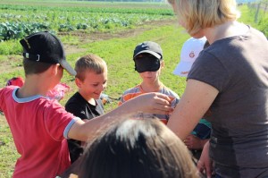 Gemüseernten 2016IMG_3537_16-06-2016