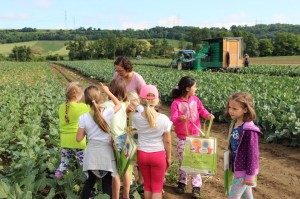 Gemüseernten 2016IMG_3539_16-06-2016