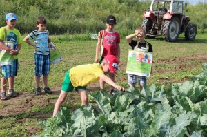 Gemüseernten 2016IMG_3548_16-06-2016