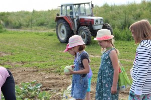 Gemüseernten 2016IMG_3550_16-06-2016