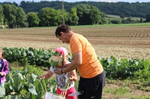 Gemüseernten 2016IMG_3554_16-06-2016