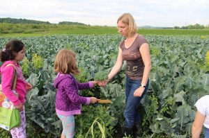 Gemüseernten 2016IMG_3557_16-06-2016