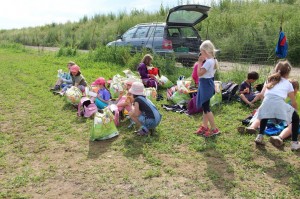 Gemüseernten 2016IMG_3562_16-06-2016