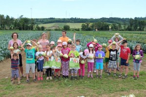 Gemüseernten 2016IMG_3564_16-06-2016